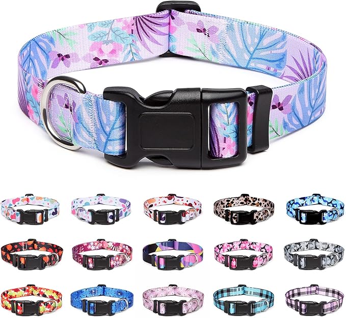 Adjustable Dog Collar with Patterns