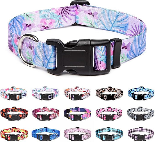 Adjustable Dog Collar with Patterns