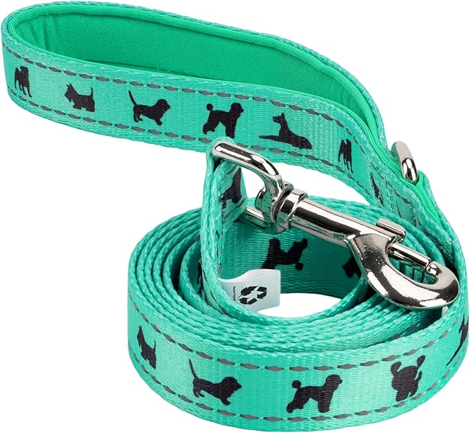 EcoBark Dog Leash - Soft & Reflective Comfort Training Leashes with Padded Handle - Strong Durable Heavy Duty - Training and Pulling for Small, Medium or Large Dogs (Turquoise)