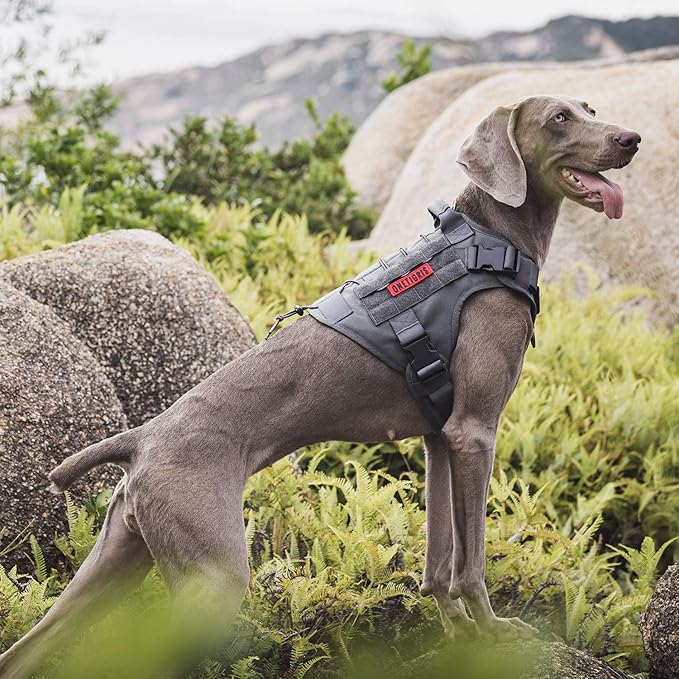 OneTigris Tactical Dog Training Vest No Pull Harness for Dogs