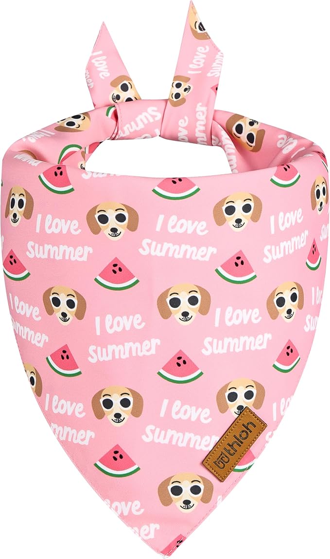Summer Dog Bandanas 2 Pack