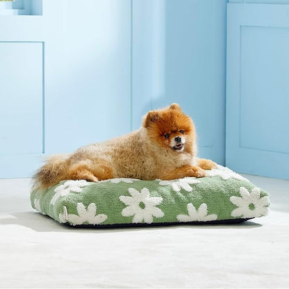 Lesure Small Dog Beds-Thick Shredded Chopped Foam Pet Bed Bottom(24'x16', Green)