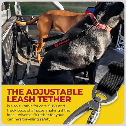 Truck Bed Dogs Tether for One Dog - Canine Tie Down System - Adjustable Safety Leash for Car, SUV or Truck Bed for Dogs - Includes Pair of Pet Grooming Gloves (One Dog)