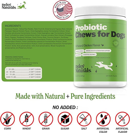 Deley Naturals Dog Probiotic Chews - Dogs Probiotic for Digestive Health with 4 Billion CFUs & Digestive Enzymes - Anti Diarrhea for Dogs - Dog Gut Health Probiotics for Constipation Gas & Allergies