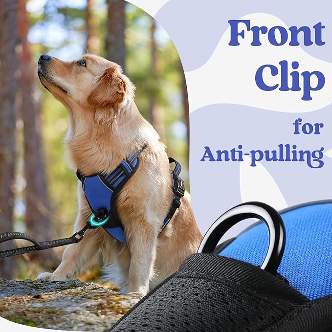 rabbitgoo Dog Harness Small Sized 3 Buckles,