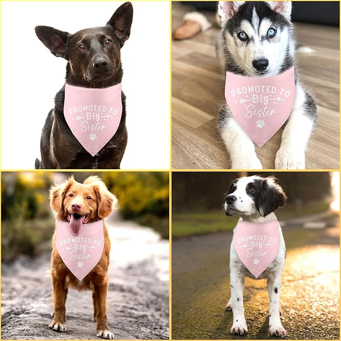 Promoted to Big Sister Dog Bandana Pregnancy Announcement