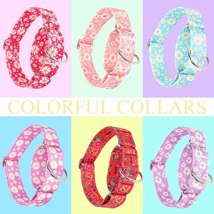 Martingale Collar 1.5 Inches Wide Dog Collar