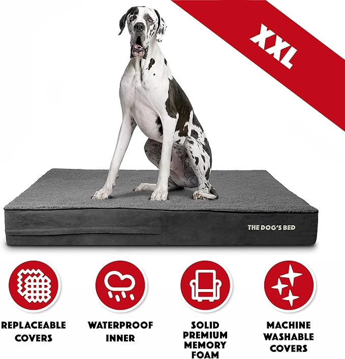 The Dog’s Bed Orthopedic Memory Foam Dog Bed 54x36, Pain