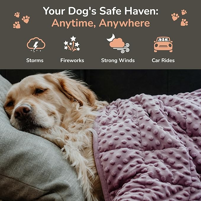 Calming Weighted Dog Blanket for Anxiety Relief