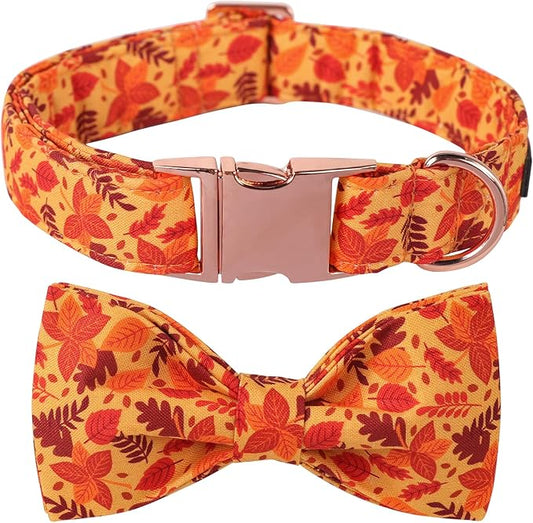 Lionet Paws Dog Collar with Bowtie 8-12in