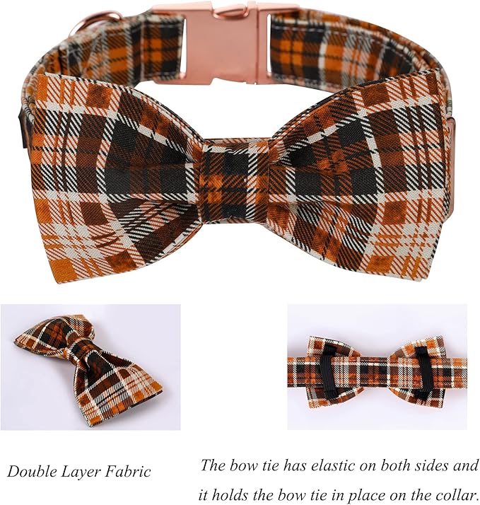 Lionet Paws Halloween Dog Collar with Bowtie 13.5-22in