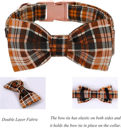 Lionet Paws Halloween Dog Collar with Bowtie 13.5-22in