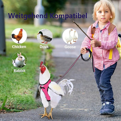 Chicken Harness Hen size with 6-foot Matching belt, Comfortable, Breathable, Small Size, Suitable for Chicken, Duck or Goose Suitable for Weight about 2.3-3.8Pounds, Green (Months, Pink)