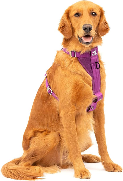 Kurgo Tru-Fit Enhanced Strength Dog Harness - Crash Tested Car Safety Harness for Dogs, No Pull Dog Harness, includes Pet Safety Seat Belt, Steel Nesting Buckles (Deep Violet, Large)