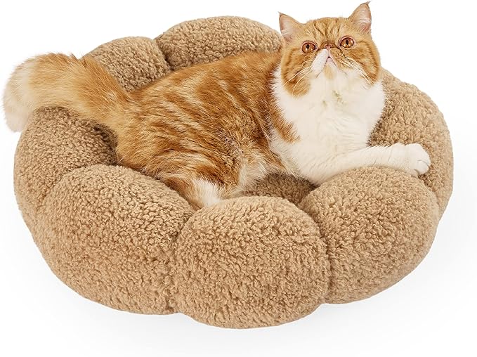 Lesure Calming Cat Beds for Indoor Cats 15 lbs, 20"