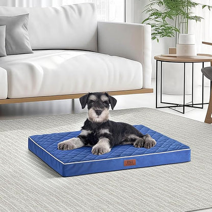Orthopedic Dog Beds for Small Dogs with Removable Washable Cover 22 inch,Navy