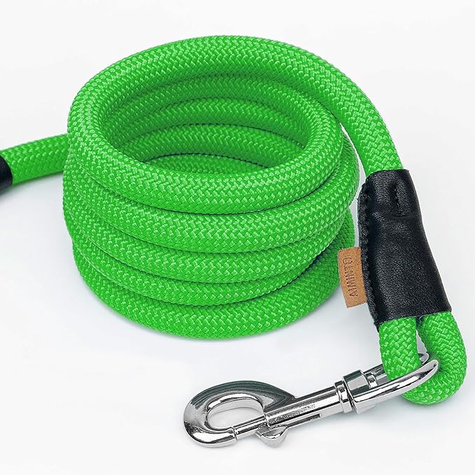 Dog Leash ((1/3") - 6FT, Light