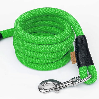 Dog Leash ((1/3") - 6FT, Light