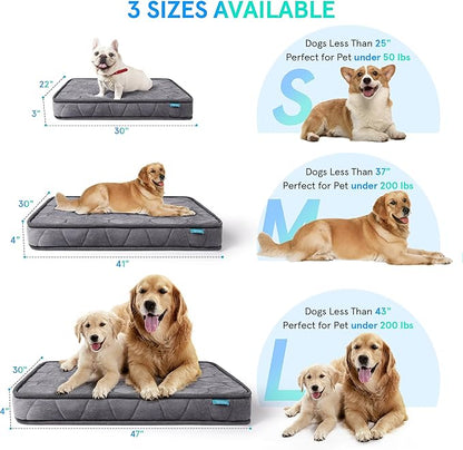 Orthopedic Dog Bed for Small Dogs and Cats，3 Inch Thick Washable Dog Bed