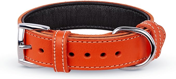 Soft Leather Dog Collar