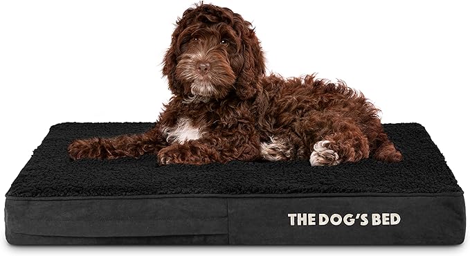 The Dog’s Bed Orthopedic Memory Foam Dog Bed 34x22, Pain