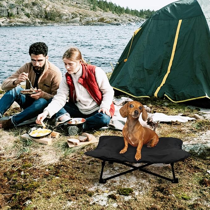 Elevated Dog Bed (28x28x8inch)