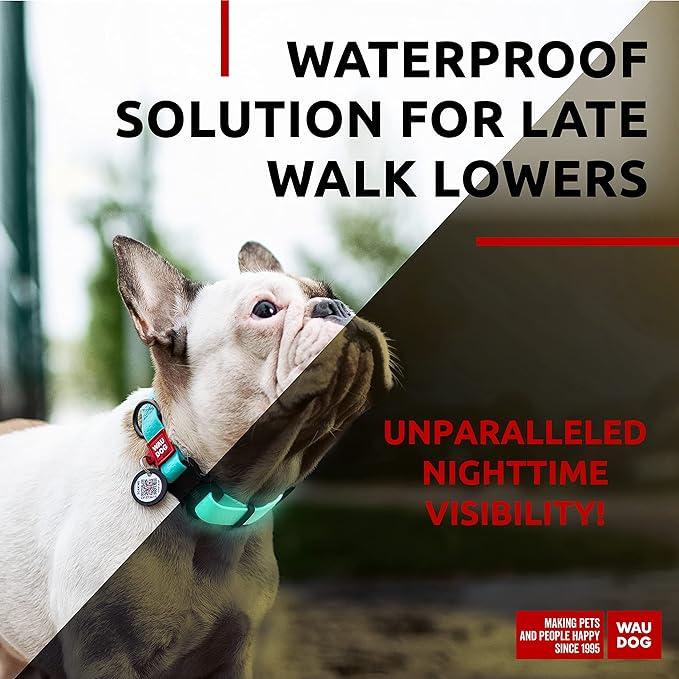 WAUDOG Waterproof Dog Collar