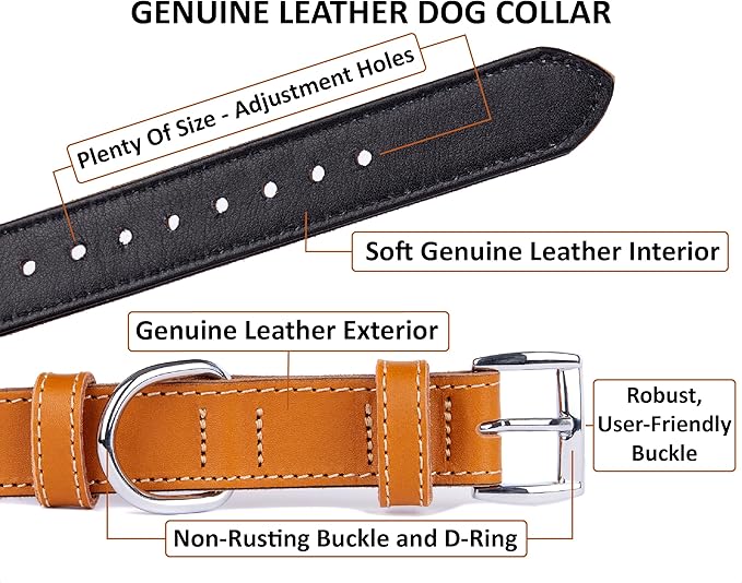 Soft Leather Dog Collar