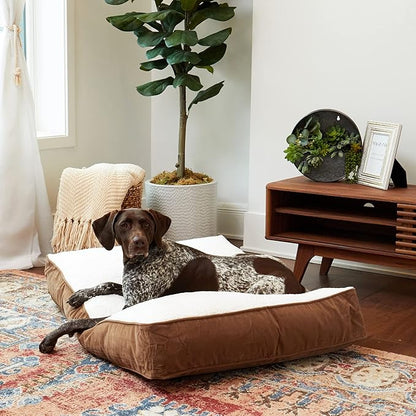 South Pine Porch Buddy Rectangle Pillow Style Dog Bed (42" x 30")