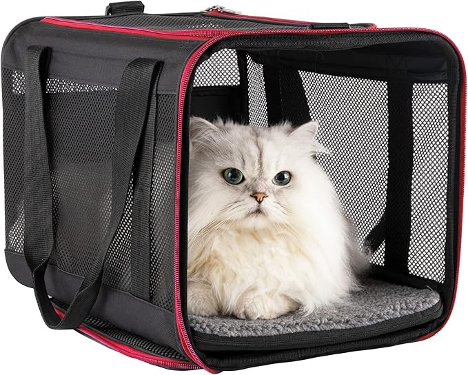 petisfam Soft Pet Carrier Bag for Medium or Large Cats (Large, Black w/Red Trim)