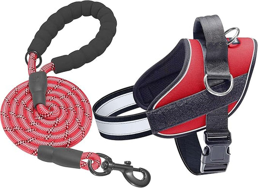 Haapaw Essential Dog Harness, No Pull Pet Vest with 3 Leash Clips, No Choke, Reflective, Adjustable and Padded, for Easy Walking and Training for Large Dogs(XL, Red)