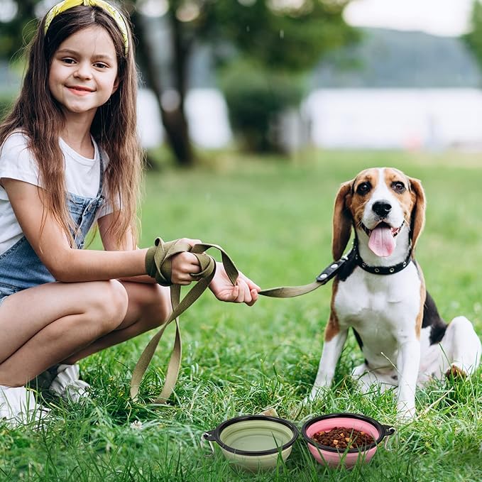 Dog Bowl Pet Collapsible Bowls, 2 Pack Collapsible Dog Water Bowls for Cats Dogs, Portable Pet Feeding Watering Dish for Walking Parking Traveling with 2 Carabiners (Small, Fairy Pink+Sprout Green)