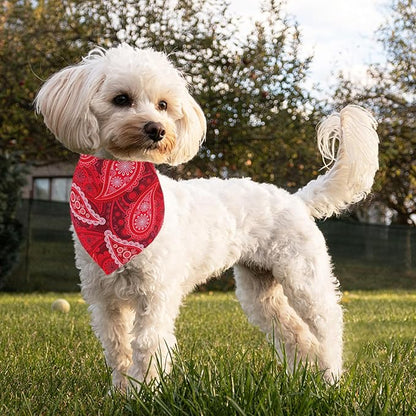 Paisley Dog Bandanas for Small Dogs Breed Cats 18 Inch 7PCS