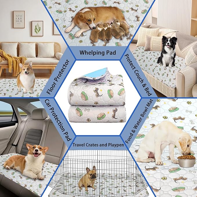 Washable Pee Pads for Dogs 2Pack 24''x36''