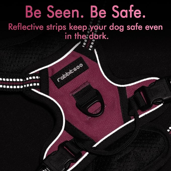 rabbitgoo Dog Harness, No-Pull Pet Harness with 2 Leash Clips, Adjustable Soft Padded Dog Vest, Reflective No-Choke Pet Oxford Vest with Easy Control Handle for Small Dogs, Hot Pink, XS