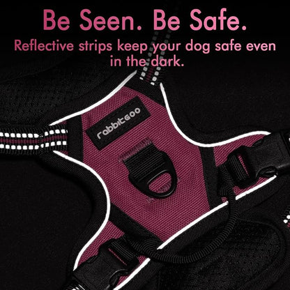 rabbitgoo Dog Harness, No-Pull Pet Harness with 2 Leash Clips, Adjustable Soft Padded Dog Vest, Reflective No-Choke Pet Oxford Vest with Easy Control Handle for Small Dogs, Hot Pink, XS