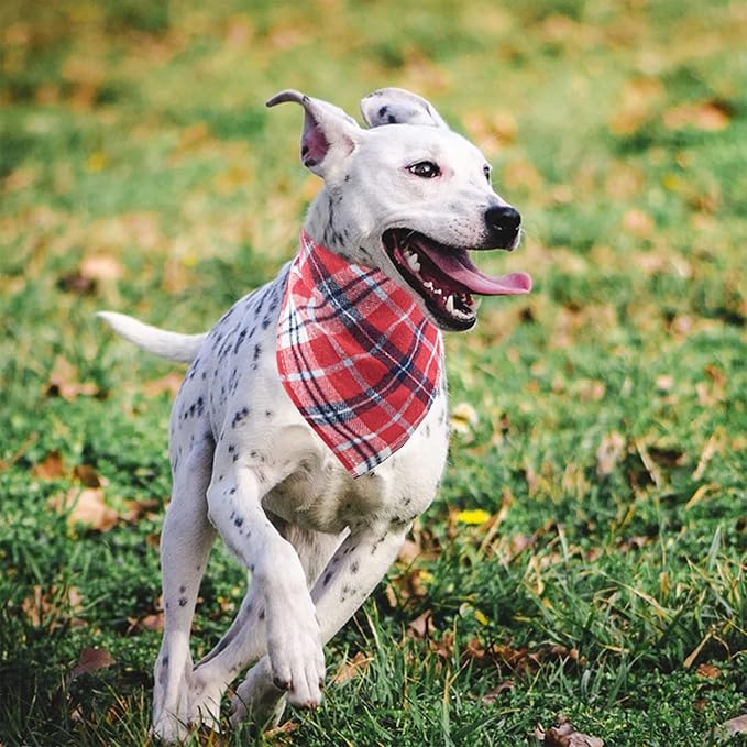 PET SHOW 50pcs Bulk Plaid Small Dog Bandanas