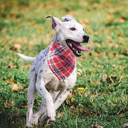 PET SHOW 50pcs Bulk Plaid Small Dog Bandanas
