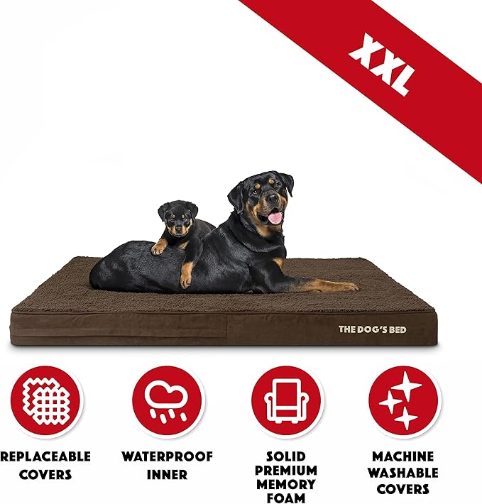 The Dog’s Bed Orthopedic Memory Foam Dog Bed 54x36, Pain