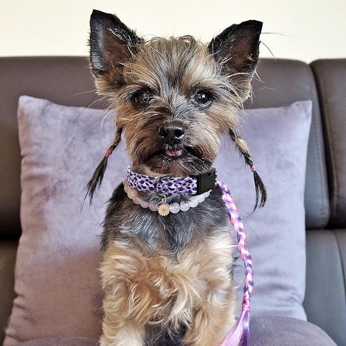 Leopard Patterns Dog Collar with Pendant