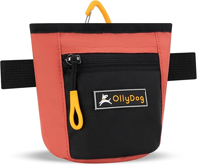 OllyDog Goodie Treat Bag, Dog Treat Pouch, Waist Belt Clip for Hands-Free Training, Magnetic Closure, Dog Training and Behavior Aids, Three Ways to Wear (Reef)