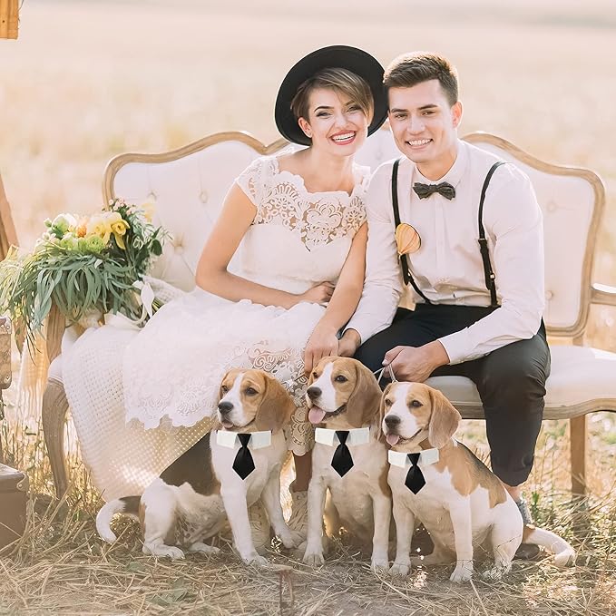 ADOGGYGO Adjustable Dog Neck Tie Collar Dog Collar with Black Necktie Wedding Formal Dog Collars for Small Dogs Pets (Small