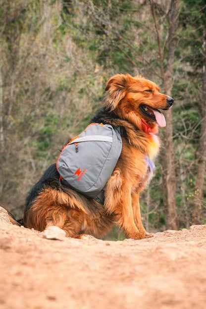 Mountainsmith K-9 Pack