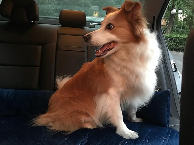 Brilliant Sunshine Premium Blue Silky Velvet Pet Sofa Bed