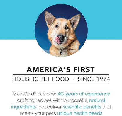 Solid Gold Canned Dog Food for Adult & Senior Dogs - Made with Real Lamb and Healthy Whole Grains - Hund-N-Flocken High Calorie, High Protein Wet Dog Food