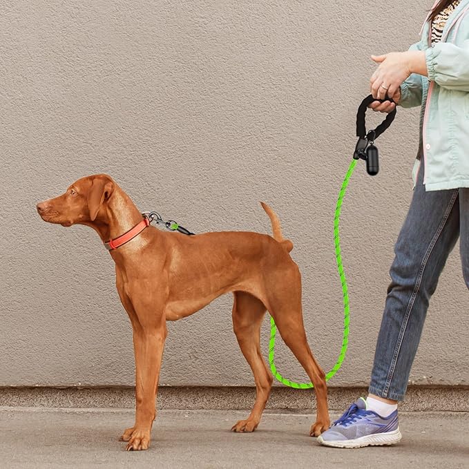 Heavy Duty Dog Leash for Large Medium Small Breed Dogs Handle,4/5/6 FT Holder,Green,1/2 inch