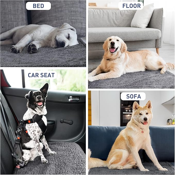 Kritter Planet Waterproof Sofa Blanket for Dogs