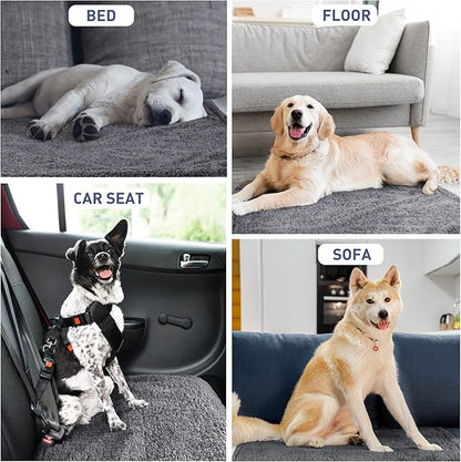 Kritter Planet Waterproof Sofa Blanket for Dogs