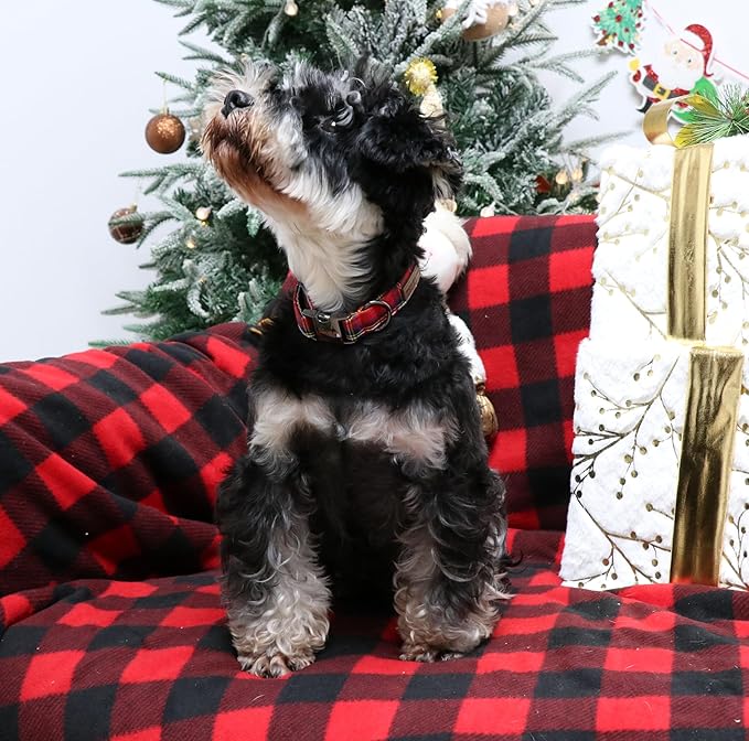 Unique style paws Dog Collar Metal Buckle Collar