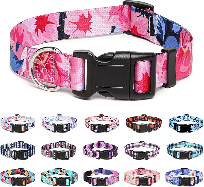 Adjustable Dog Collar with Patterns